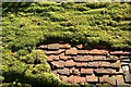 Mossed roof at Boughton Monchelsea Place