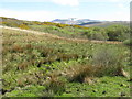 Rough grazing near Ballimartin