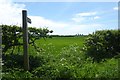 Footpath to the A63