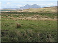 Looking east from Ballimartin