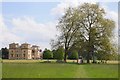 SO8844 : Croome Court and London plane trees by Philip Halling