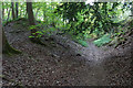 Footpath descending Aston Hill