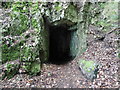 ST5296 : Rock tunnel below Piercefield Cliffs by Roger Cornfoot