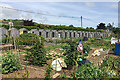 Allotments at Michaels Field, Bishopsteignton