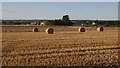 Round bales, Skinflats