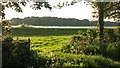 Farm Reservoir Off Livermere Drift