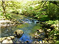 Bend in the River Plym, plus confluence with small stream, Cadover Bridge, Dartmoor