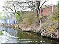 SP0580 : Heron, Worcester & Birmingham canal, Stirchley by Christine Johnstone