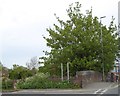 Bridge parapet for A38 crossing canal