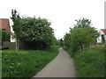 Cycleway towards York