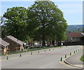 Two rows of green cones, Apollo Way, Blackwood