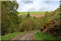 Narrow Lane beside Drumbuie Burn descending to the A82