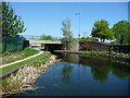 Daw End Branch, south of Walsall Wood Bridge