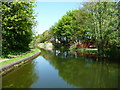 Daw End Branch, Wyrley & Essington Canal, Walsall Wood