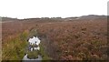 NO0453 : Track north of Loch Ordie by Richard Webb