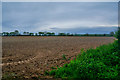 East Devon : Ploughed Field