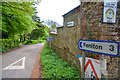 East Devon : Country Lane