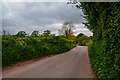 East Devon : Country Lane