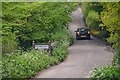 East Devon : Country Lane