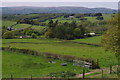 Fields below the Carneddau hills