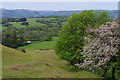 May time at the edge of the Carneddau hills