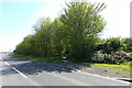 Footpath off the B1534 Beaufort Way