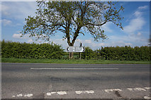 TF1396 : B1225 near Hills Brough Farm by Ian S