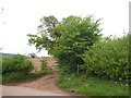 Field access and footpath to Cross Farm