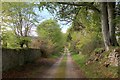 NH5243 : Access Lane leading from Ballindoun Farm by Chris Heaton