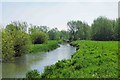 River Windrush, Witney, Oxon