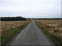 NY6369 : The lane from Butterburn to Gilsland by David Purchase