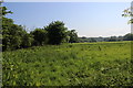 Meadows Near The River Allen