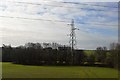 Pylon near Somerfield Court Farm