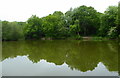 Reed Pond, near Canterbury