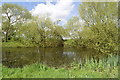 Farm pond at Jaggers