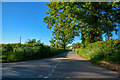 East Devon : Gribble Lane