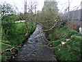 Birnock Water, Moffat