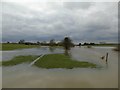 River Leam at Hunningham