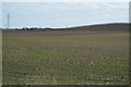 Farmland, Foxborough Hill