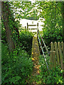 Footpath with bridge, Perkin