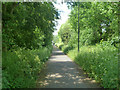 Path along course of old railway