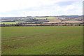 Field Next to Choicehill Rd