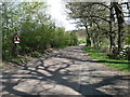 The road to Rothbury