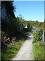 Path to Carluddon