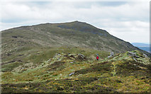 NN9364 : Summit area of Meall an Daimh by Trevor Littlewood