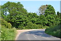 Sharp bend in Stanbridge Lane