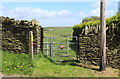 Footpath gate opposite Graig-yr-Hufen Farm