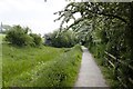 Footpath by the disused Nottingham Canal