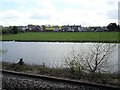 View from a Chester-Holyhead train - Pond near Chester Road