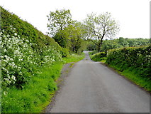 H5071 : Edenderry Road, Recarson by Kenneth  Allen